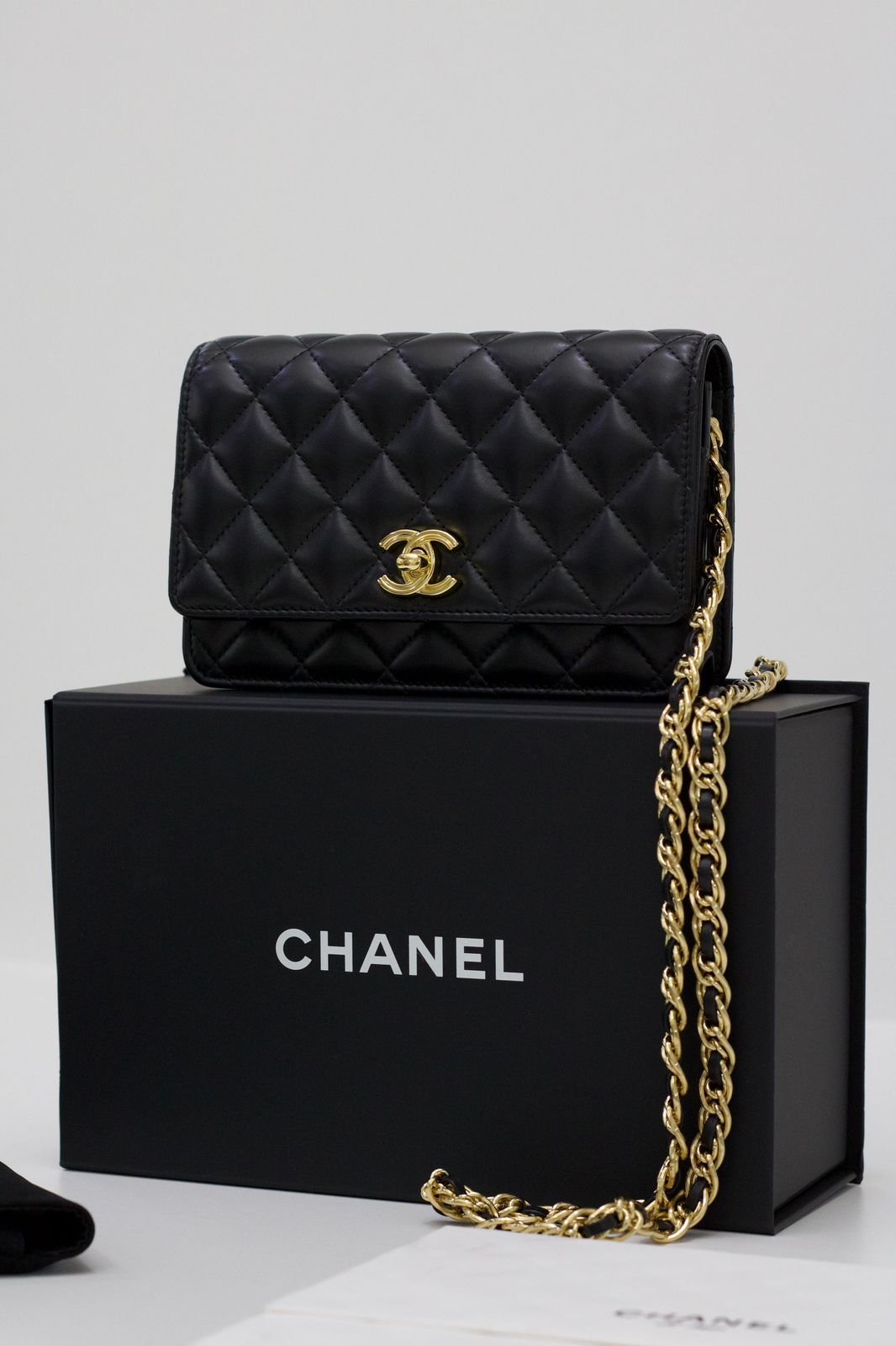 Bolsas . Bolsa Chanel WOC — Desapeguei foto 1