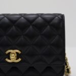 Bolsas . Bolsa Chanel WOC — Desapeguei foto 6
