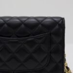 Bolsas . Bolsa Chanel WOC — Desapeguei foto 8